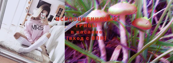 прущая мука Арсеньев