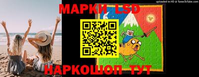 гидропоника Дубна