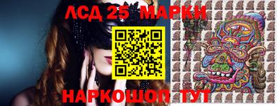 гидропоника Дубна