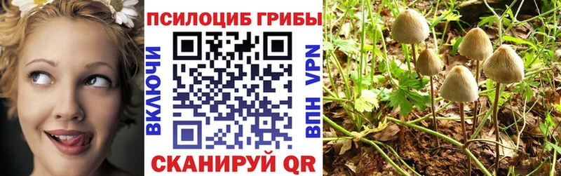 Галлюциногенные грибы прущие грибы  Новошахтинск 