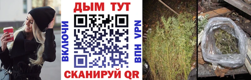 ссылка на мегу зеркало  нарко площадка телеграм  Шишки марихуана VHQ  где продают наркотики  Новошахтинск 